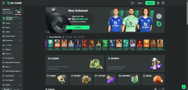 Aperçu du site de BC Game